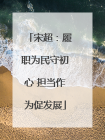 宋超：履职为民守初心 担当作为促发展